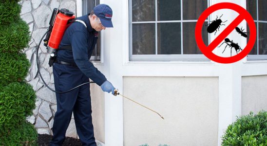 Kavaklıdere Dezenfeksiyon böcek ilaçlama ve haşere kontrolü — ilaclama-tr.com